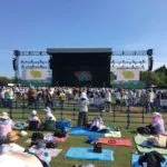 ap bank fes 2017 全セトリ